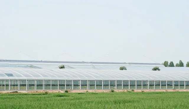 产品性能对适用条件的影响及维护建议
